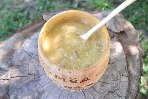 Бортевой мед диких пчел